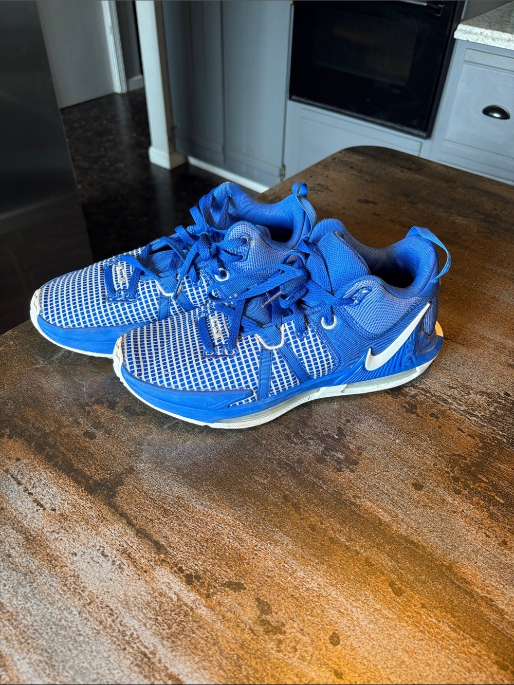 Nike Labron witness 7 size 10 men’s basketball sneakers shoes